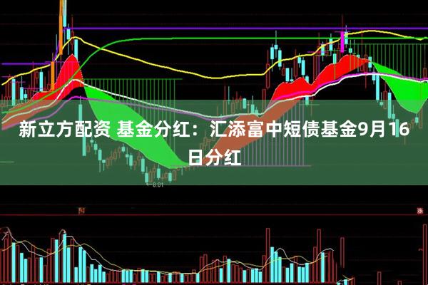新立方配资 基金分红：汇添富中短债基金9月16日分红