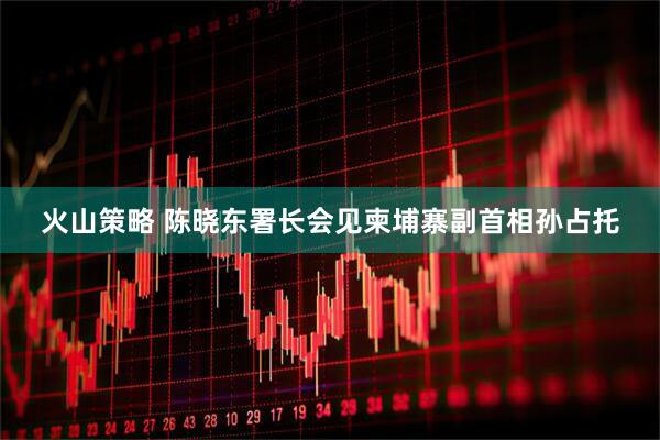 火山策略 陈晓东署长会见柬埔寨副首相孙占托