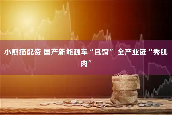 小煎猫配资 国产新能源车“包馆” 全产业链“秀肌肉”
